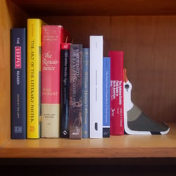 Image of Albatross Bookend