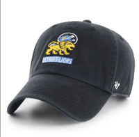 Detroit Lions Retro Clean Up