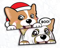 コーギー CORGI (SEASONAL)