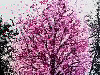 Image 2 of Beauty Within