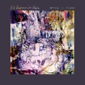 Image of Ed Kuepper & Jim White - 'After The Flood' LP (12XU 166-1)