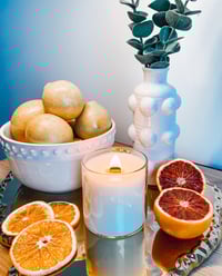 Image 8 of Citrus Collection 