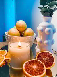 Image 5 of Citrus Collection 