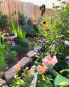  Summertime Cottage Garden - 8” X 10” Canvas Print  Canvas