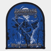 Dissection patch