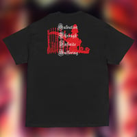 Image 3 of INFERNAL DOMINION "SALVATION" TS