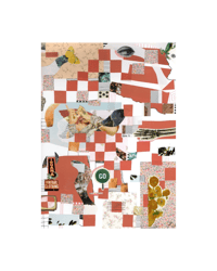 Image 1 of February 29 Study