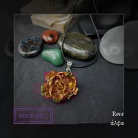 Image 11 of ☽ Rosa ☾