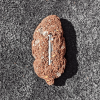 Image 3 of The Sin Eater