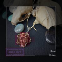Image 14 of ☽ Rosa ☾