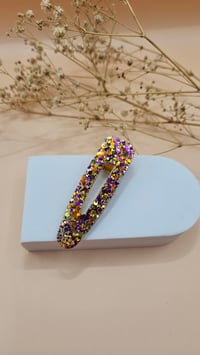 BARRETTES paillettes automne 