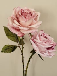 Image 2 of ' Betty ' Soft Pink Single Rose Stem