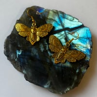 Image 3 of Gold/Silver Moth Earrings