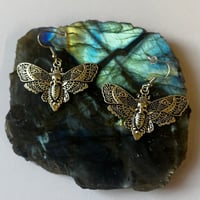 Image 2 of Gold/Silver Moth Earrings