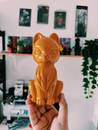 Image 2 of Tama Mustard