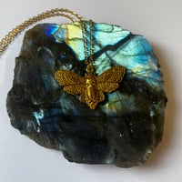 Image 1 of Gold/Silver Moth Necklace