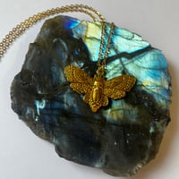Image 3 of Gold/Silver Moth Necklace