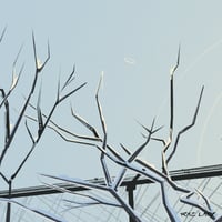 Image 4 of Winter Sun (Framed Print)