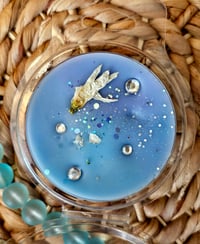 Image 16 of Highfalutin' -a Rockytop Wax Works exclusive custom houseblend fragrance 