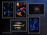 Image 2 of Bioluminescent Firefly Squids Fine Art Print