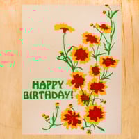 BIRTHDAY COREOPSIS