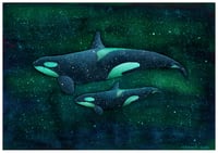 Image 1 of Through a Storm of Emerald Mother's Day Special 2023 Orca Fine Art Print 