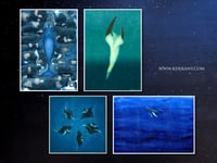 Image 2 of Big Blue Fine Art Print Ink Painting