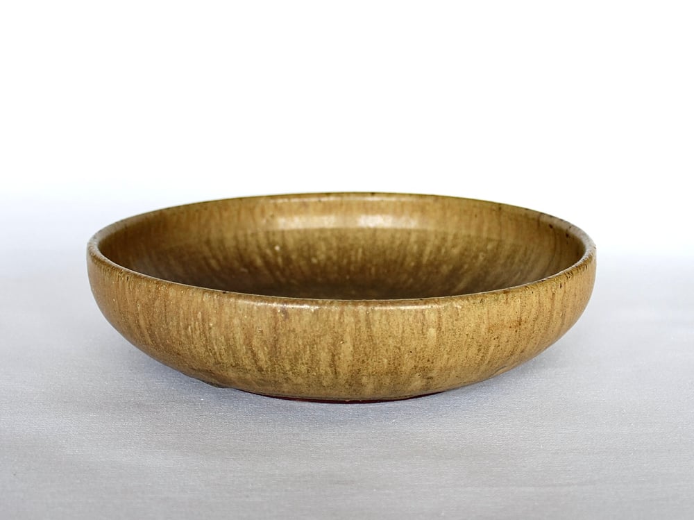 Image of Golden Alkaline Serving Bowl 