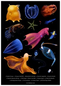 Image 1 of Deep Sea Poster Fine Art Print Extra Heavyweight Matte A3