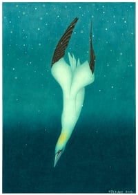 Image 1 of The Diving Gannet Fine Art Print Extra Heavyweight Matte A3 