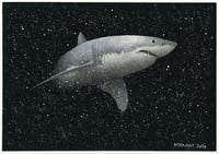 Image 1 of Great White Shark Fine Art Print