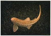 Image 1 of The Golden Shark Fine Art Print
