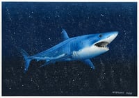 Image 1 of Shortfin Mako Shark Fine Art Print