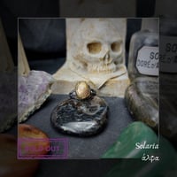 Image 3 of ☽ Solaria ☾