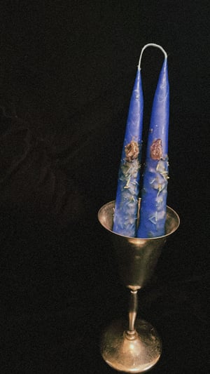 Image of 𝔄𝔮𝔲𝔞𝔯𝔦𝔲𝔰 ℭ𝔞𝔫𝔡𝔩𝔢𝔰