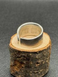 Image 3 of Bird Crest x 2 Ring size  9 & 6