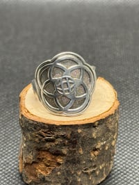 Image 1 of Epcot Center Ring size 9.5
