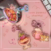 Poke Sweet Acrylic Charms 