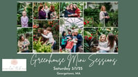 Image 5 of 3/2 Greenhouse Mini Sessions