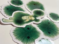 Image 3 of Moss Clear Sticker set 