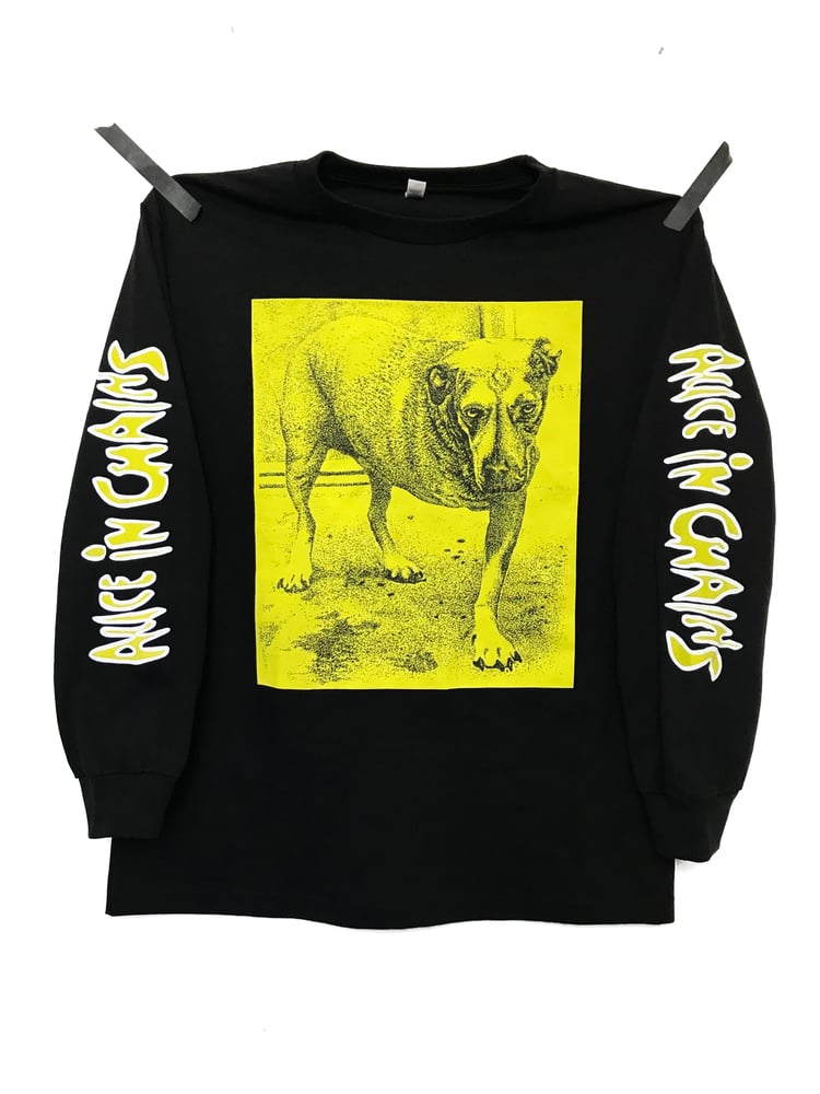 Image of ALICE IN CHAINS