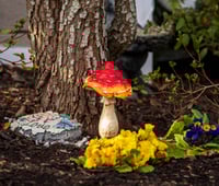 Image 1 of Enchanted Toadstool