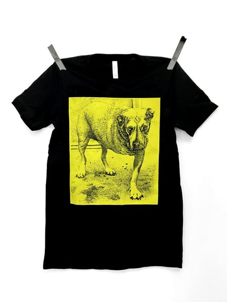 Image of ALICE IN CHAINS - SHORT SLEEVE