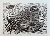 Duck - Relief Print