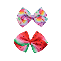 Image 1 of Hair Clips - Summers Day