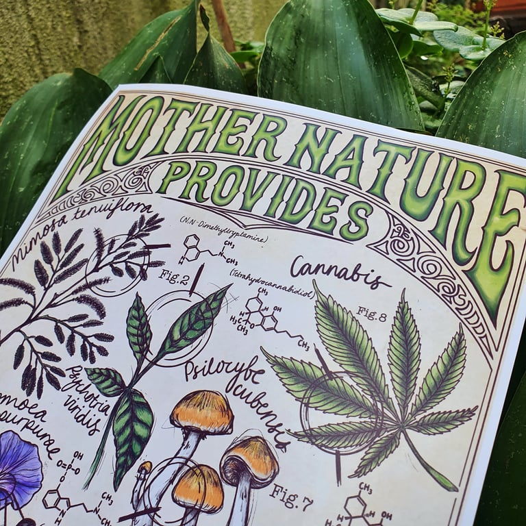 Mother Nature Provides Print Image 2