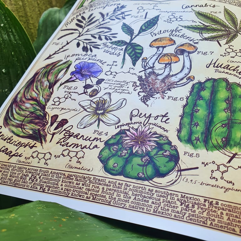 Mother Nature Provides Print Image 3