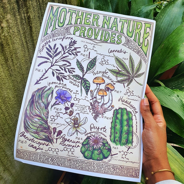 Mother Nature Provides Print