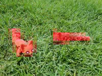 Image 4 of Little Fox