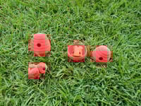 Image 4 of Bee and Hive